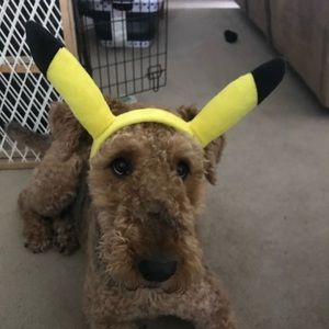 Meet your Posher, Adam